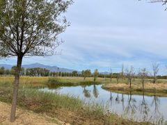 -野鸭湖国家湿地公园