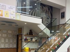 -联合动物医院(光谷诊疗中心)