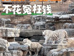 -太原动物园