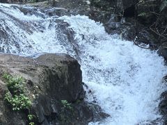 -广州市流溪河国家森林公园