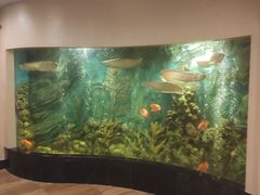 -红莲中餐厅(日航饭店)