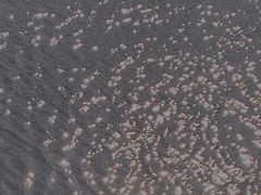 -艾溪湖湿地公园