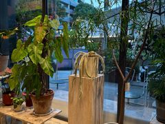 -花神·轻食简餐·咖啡馆·花卉绿植(荷兰花卉小镇店)