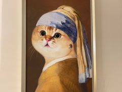 -猫域·湾主题猫咖·宠物吧(南坪城市广场店)