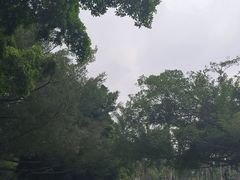 -南宁南湖公园