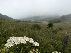-白草畔自然风景区