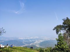 -黄埔油麻山森林公园