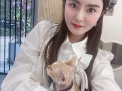 -琪喵猫屋·撸猫猫咖·猫舍