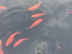 -宁波市保国寺古建筑博物馆