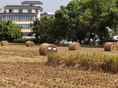 -嘉北郊野公园