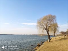 -丁香湖公园