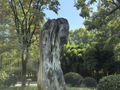 -习家池