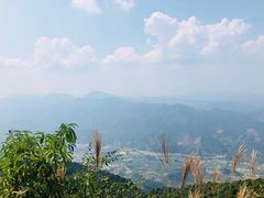 -江西阳明山国家森林公园