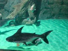 -常州海昌海洋探索馆