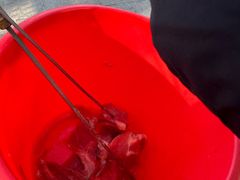 -横道河子东北虎林园