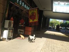 -萨宁音登锡伯风味餐厅(一楼店)