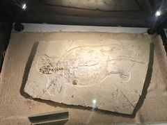 -房山世界地质公园博物馆