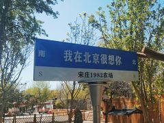 -1982农场