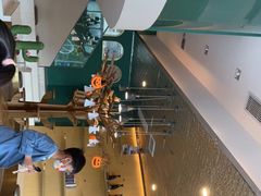 -飞行喵MR PILOT|猫舍·猫咖(静安大融城店)