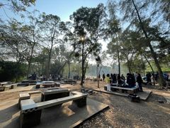 -南宁良凤江国家森林公园