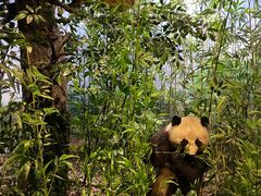 -陕西自然博物馆