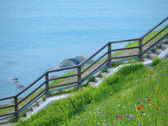 -燕儿岛山公园