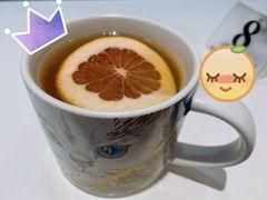 蜂蜜柚子茶-飞行喵MR PILOT|猫舍·猫咖(静安大融城店)