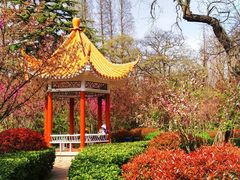 -八大关景区