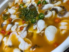 青花椒味砂锅鱼-青花椒花椒鱼(合生汇店)