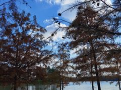 -上海海湾国家森林公园