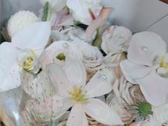 -上海星瀚奔驰4S店(红柳路店)