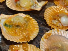 -潮庭·大连海鲜·炭火烧烤·扇贝王(大连店)