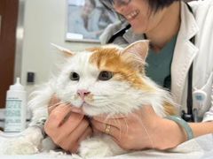 -美联众合动物医院·24h转诊中心
