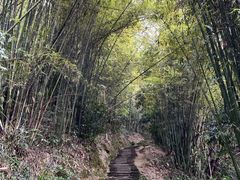 -缙云山景区