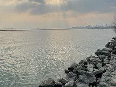 -合肥滨湖国家森林公园