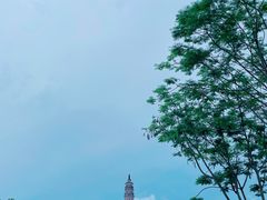 -顺峰山公园