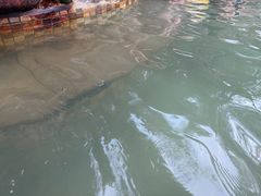 -三江森林温泉度假区