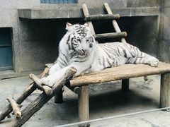 -西安秦岭野生动物园