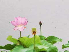 -重元寺