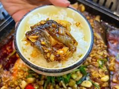 -黑猫馋纸包鱼(阳光店)