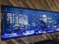 -暹罗酒肆泰餐厅酒吧