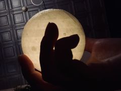 -Catail前苑(前门大街店)