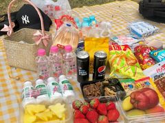 -蜀冈西峰生态公园