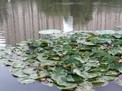 -前关湿地公园