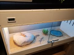 -打趸BTC·Breaktime cafe(北京路店)