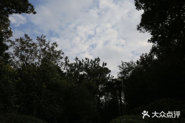 蠡湖中央公园图片