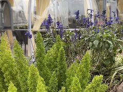 -聚宝渔港.五钻酒家(上地店)