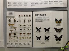 -四川大学博物馆