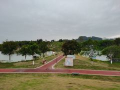 -鹤之洲湿地公园