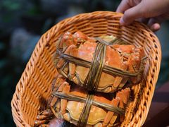 -蟹村草堂·苏式园林人文农家·大闸蟹